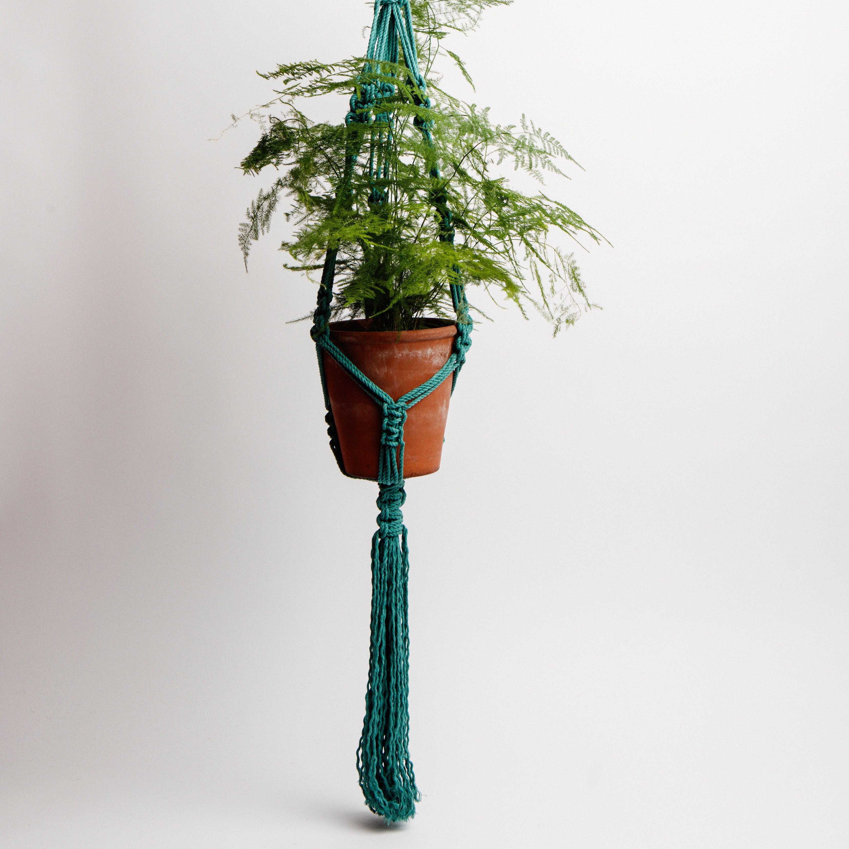 Macrame Classic Cotton Plant Holder