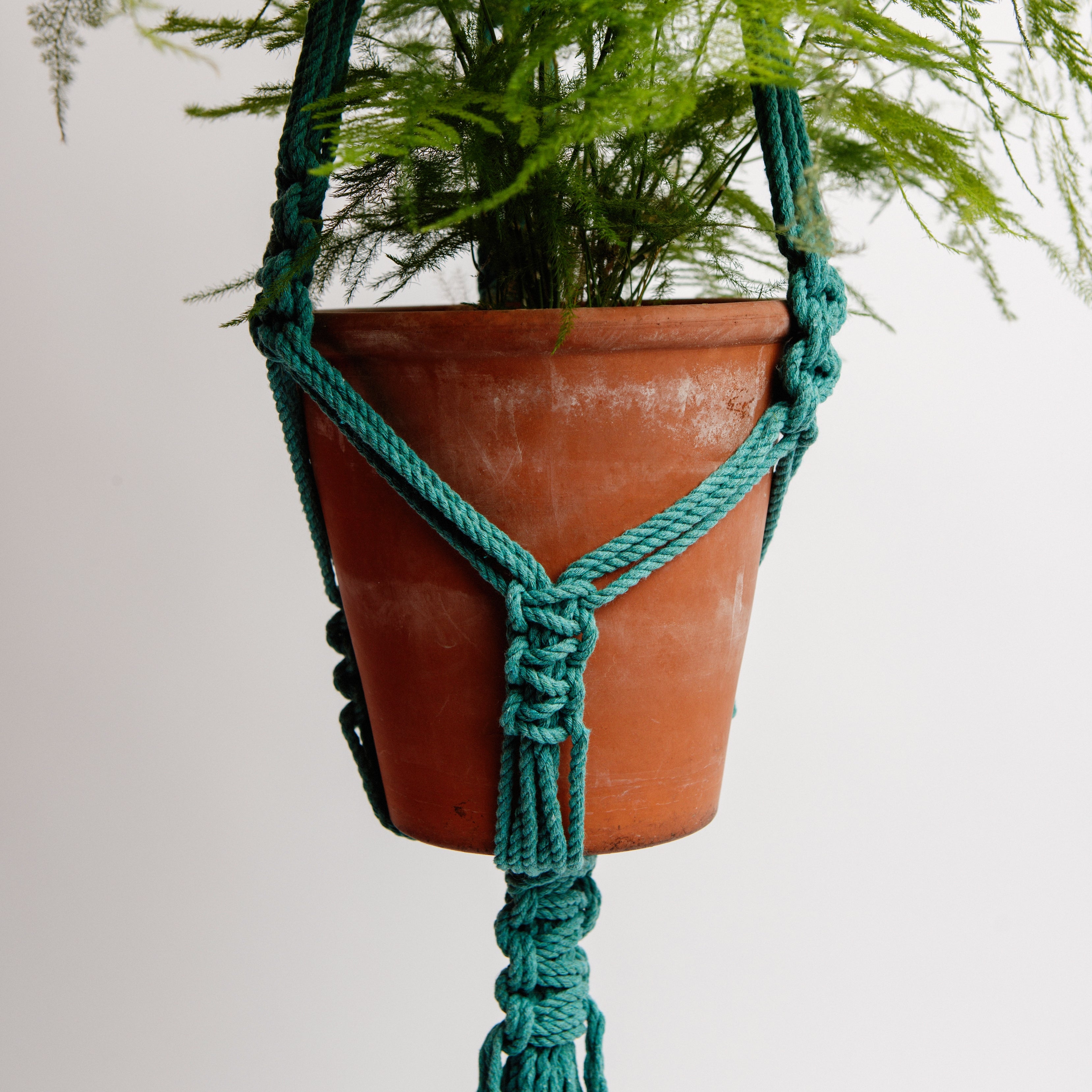 Macrame Classic Cotton Plant Holder