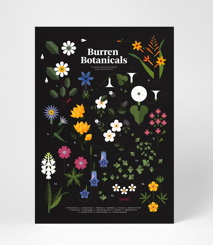 Burren Botanicals Print data-zoom=