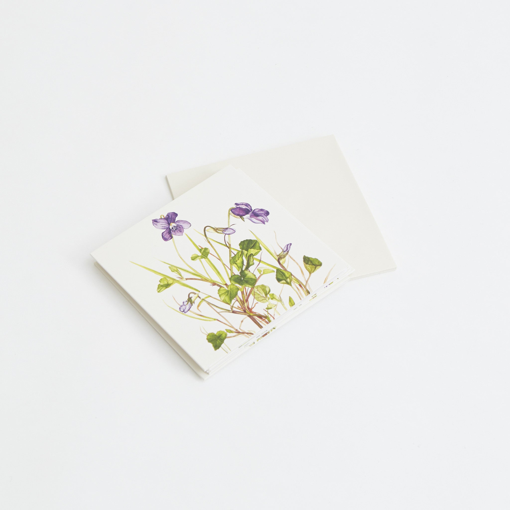 Irish Wildflower Greeting Cards - Irish Design Shop