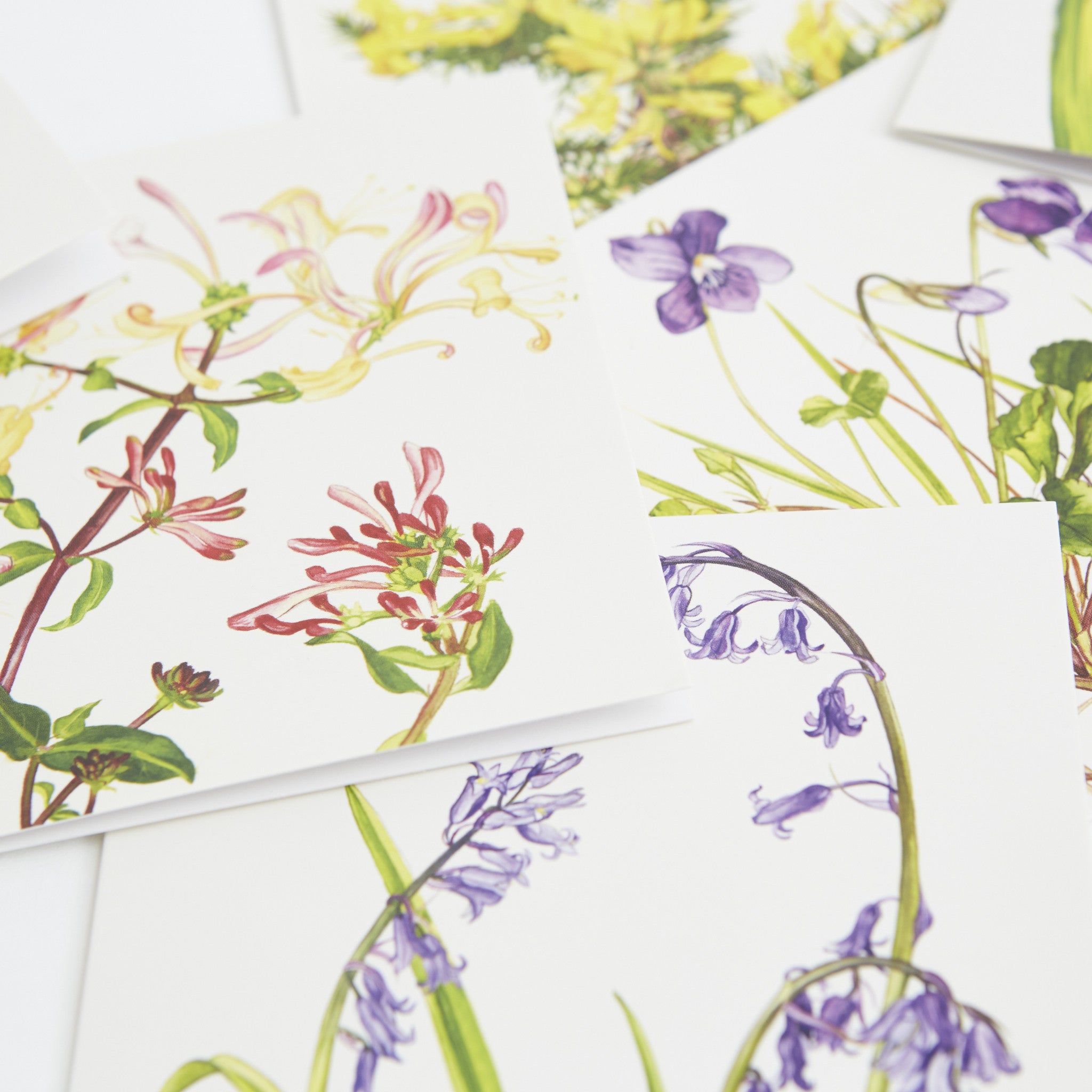 Irish Wildflower Greeting Cards - Irish Design Shop