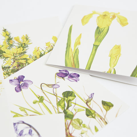 Irish Wildflower Greeting Cards - Irish Design Shop