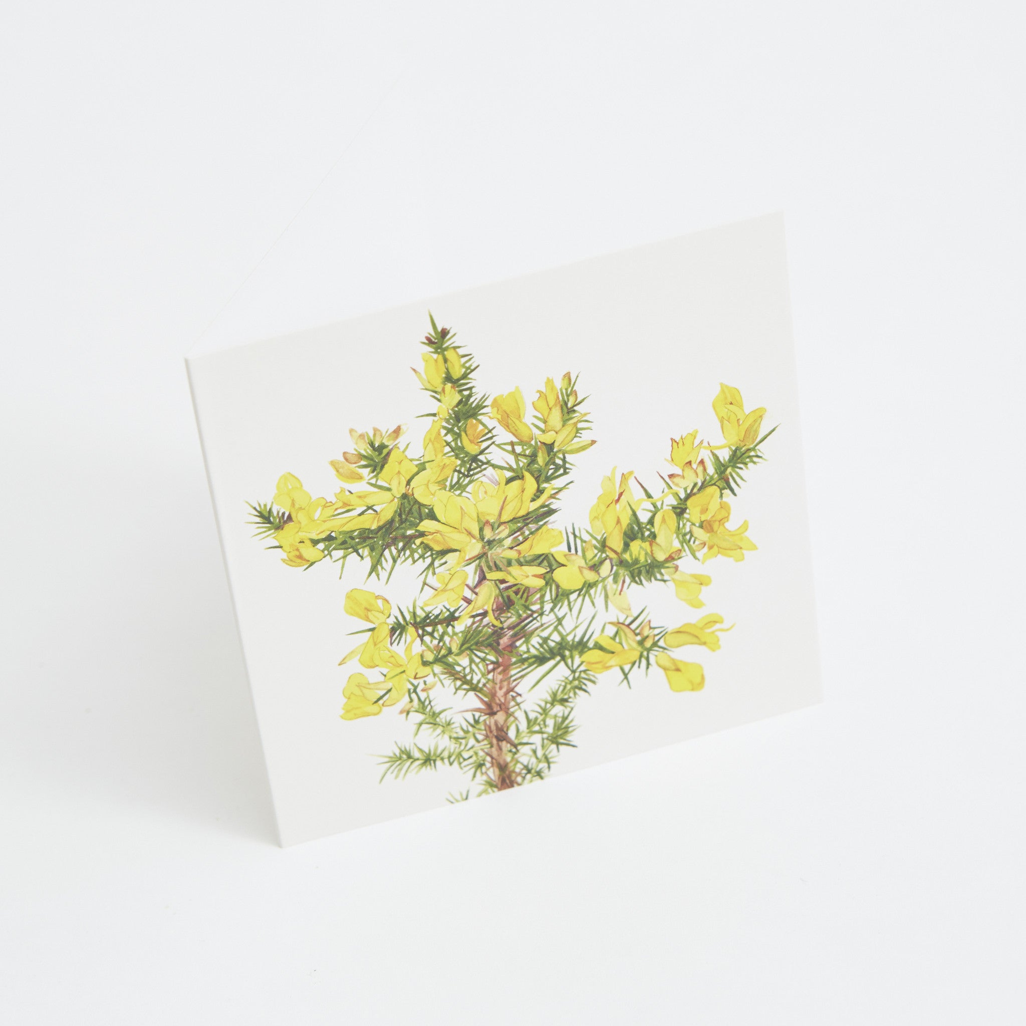 Irish Wildflower Greeting Cards - Irish Design Shop